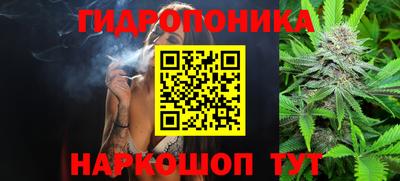 герыч Бердск